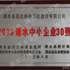 2013年中小企業(yè)30強(qiáng)