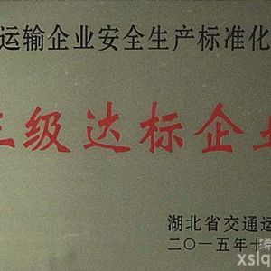 2015年省交通運(yùn)輸企業(yè)安全生產(chǎn)標(biāo)準(zhǔn)化建設(shè)：三級(jí)達(dá)標(biāo)企業(yè)